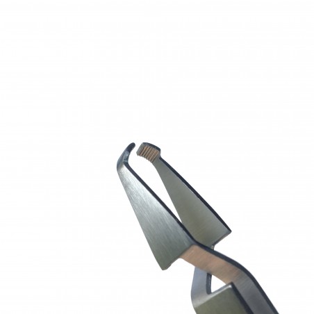 Kullancsfogó - állatorvosi