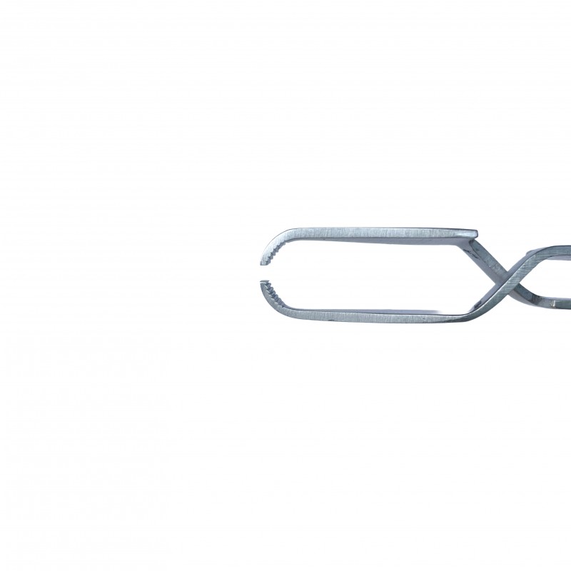 Kullancsfogó - állatorvosi